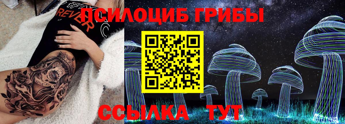 купить наркотик  Вход с VPN  Обь  Галлюциногенные грибы Psilocybe 
